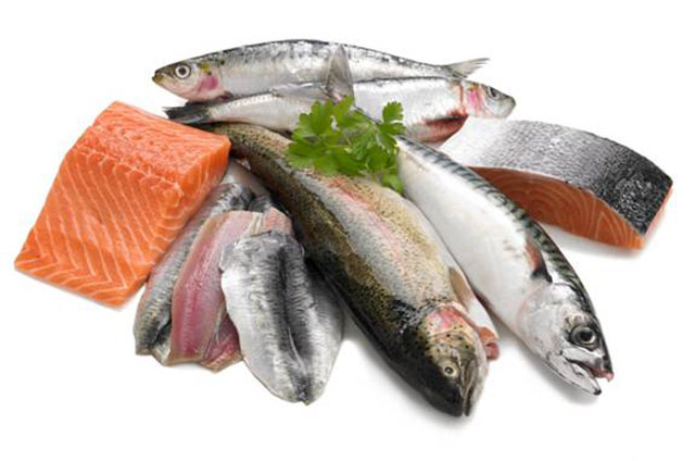Cá cung cấp nhiều chất đạm cần thiết cho cơ thể - Thực phẩm An Tâm